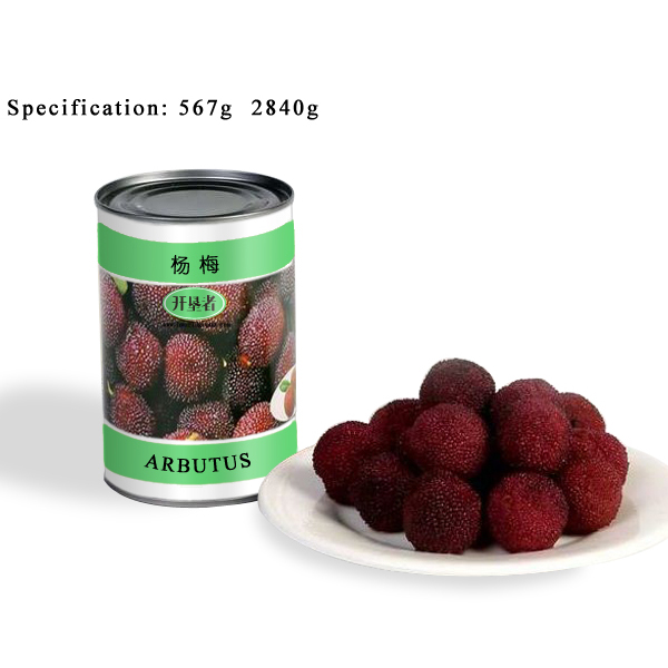 CF07 Canned Arbutus in Syrup 6*567G