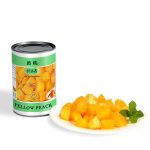 CF09 Canned Yellow Peach Dices 24*425G | Hong Kong Store Limited