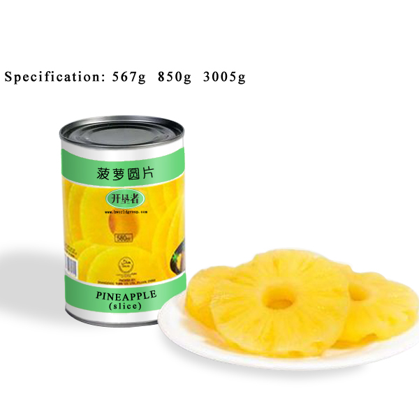CF10 Canned Pineapples Slices 6*3005G