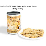 CM03 Canned Champignon Mushrooms Slices 6*4100G | Hong Kong Store Limited