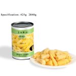 CV14 Canned Baby Corn Cuts 6*2840G