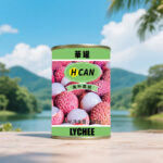 CF06 Canned Lychees In Syrup 24*567G | Hong Kong Store Limited