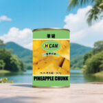 CF12 KKZ Canned Pineapples Pieces In Syrup 24*567G-24months | Hong Kong Store Limited